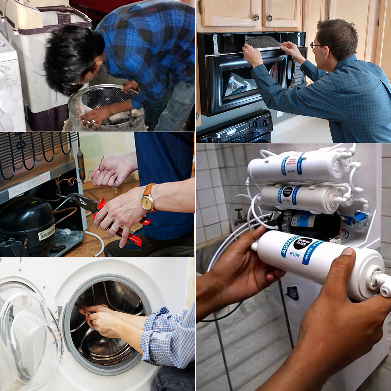 alam services colarge